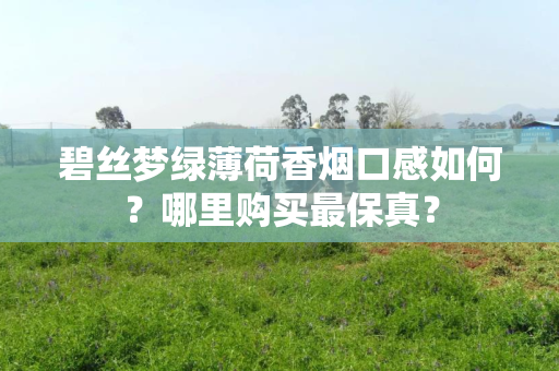 碧丝梦绿薄荷香烟口感如何？哪里购买最保真？